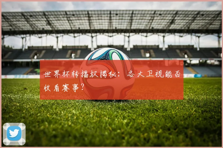 世界杯转播权揭秘:各大卫视能否收看赛事?