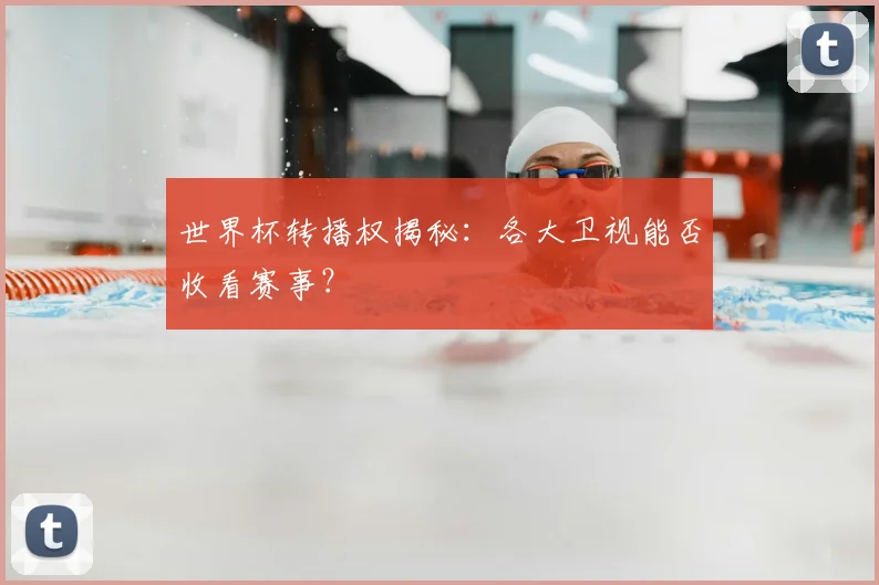 世界杯转播权揭秘:各大卫视能否收看赛事?
