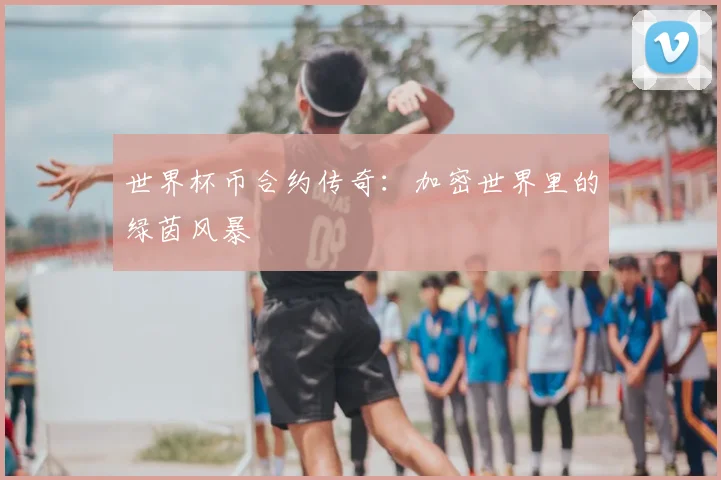 世界杯币合约传奇：加密世界里的绿茵风暴