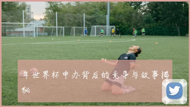 年世界杯申办背后的竞争与故事揭秘