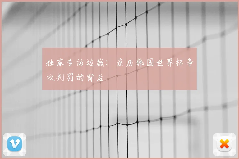独家专访边裁：亲历韩国世界杯争议判罚的背后