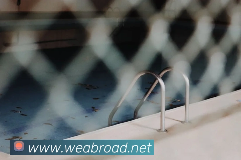 开云网页版入口手机版发展历程